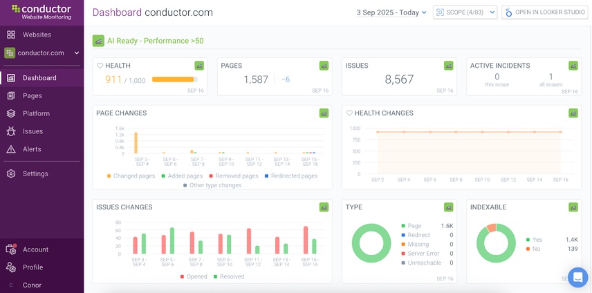 An image of the custom segments feature in Conductor Monitoring showing data for pages based on performance score.