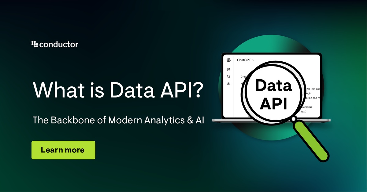 Data Package Api Understanding Data APIs: The Secure Gateway for Modern AI
