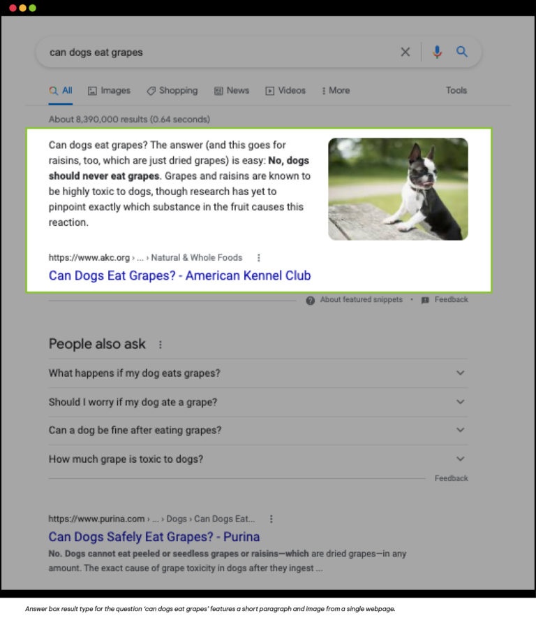 Answer box result type for the question ‘can dogs eat grapes’ features a short paragraph and image from a single webpage.