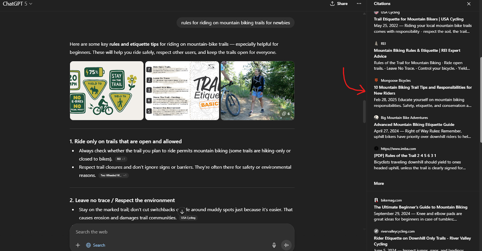 Mongoose cited by ChatGPT