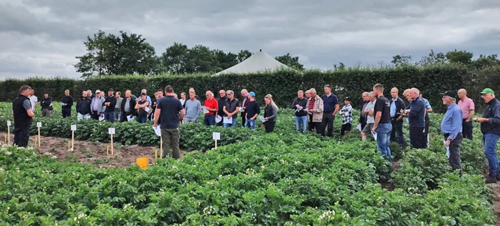 Sortsdemo og markvandring i Bylderup Bov