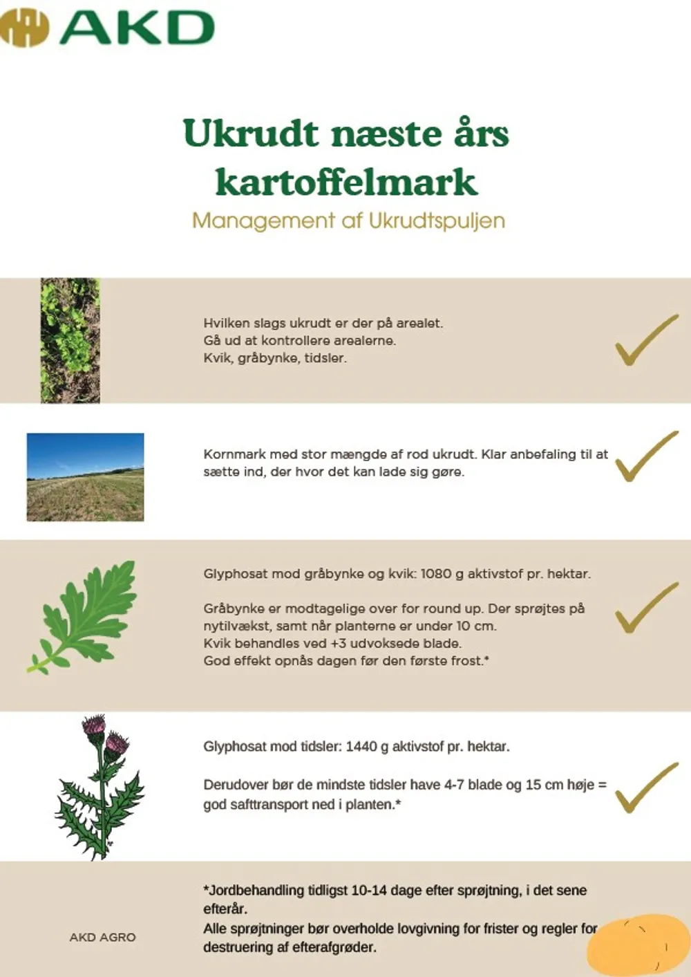 Bekæmp ukrudt i næste års kartoffelmarker