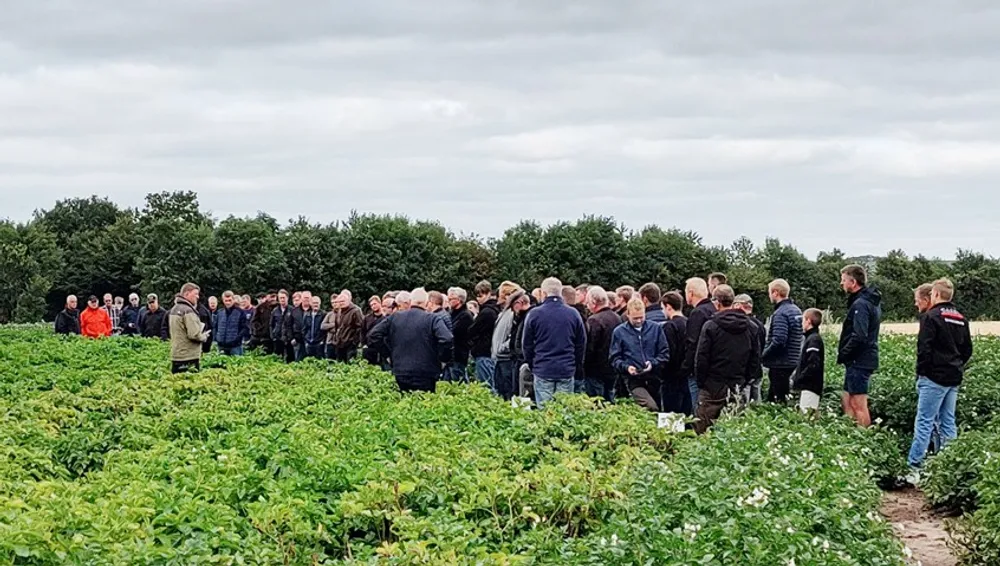 Markvandring og sortsdemo
