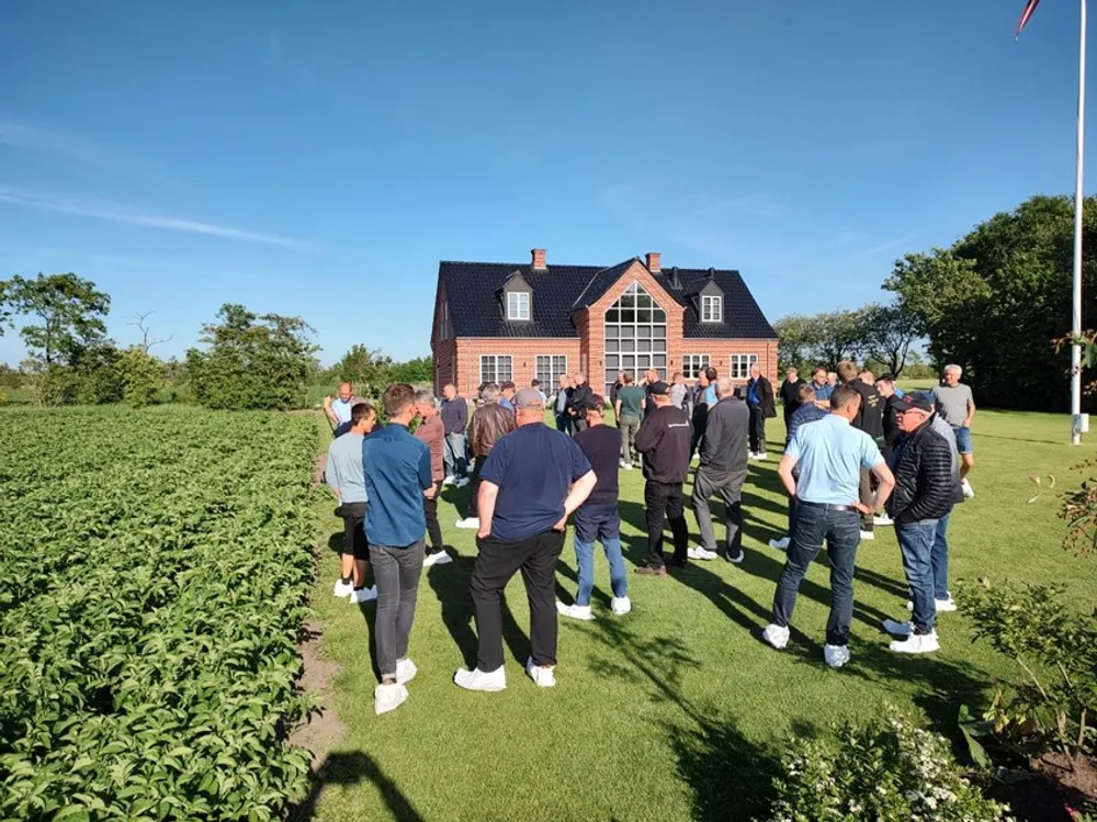 Markvandring i Grindsted