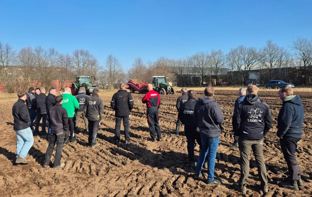 Kursus i stenstrenglægning