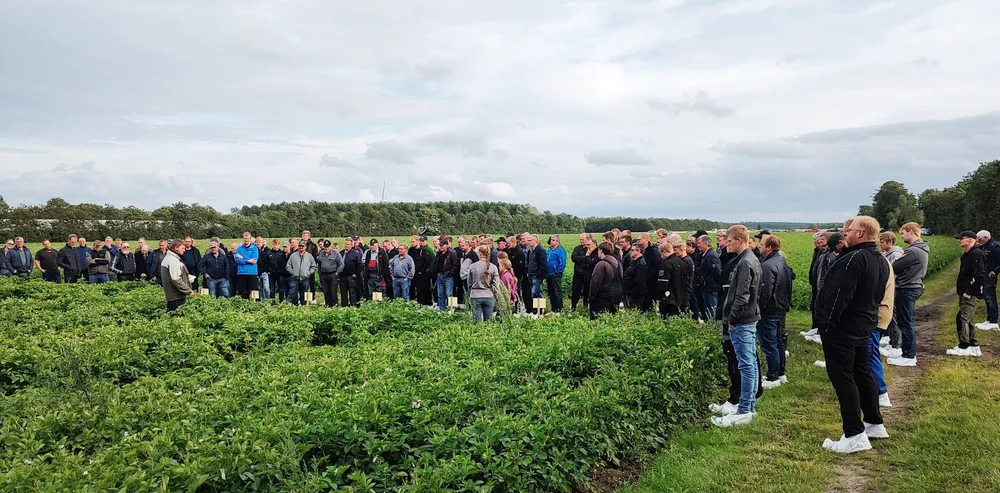 Stor tilslutning til markvandring i Grindsted