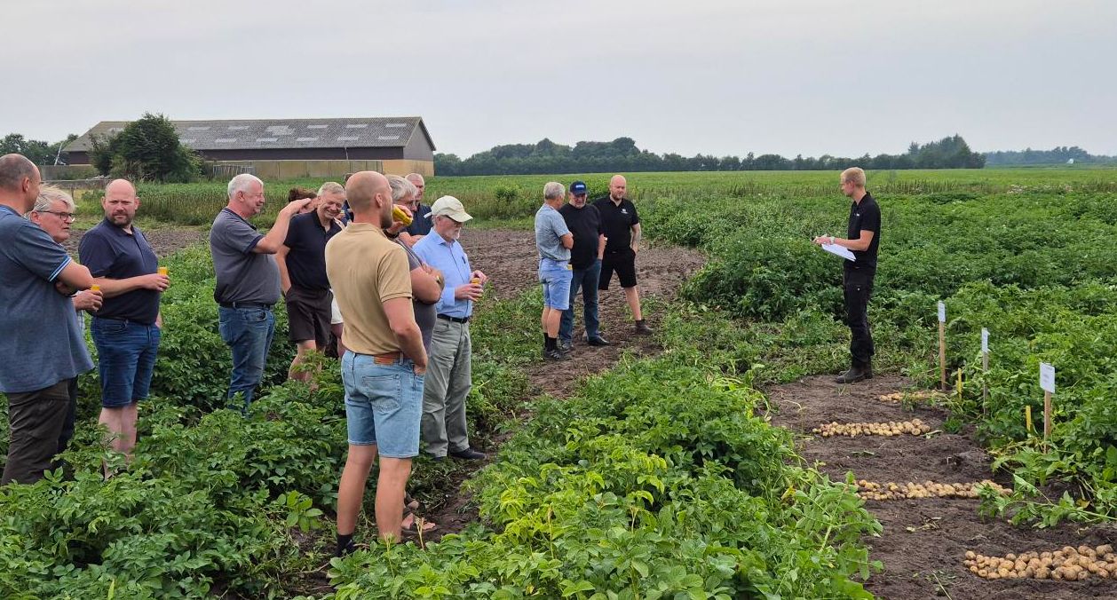 Sorter i demo-marken