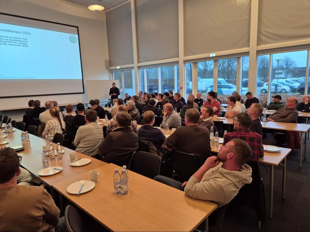 Miniavlermøder med mange deltagere