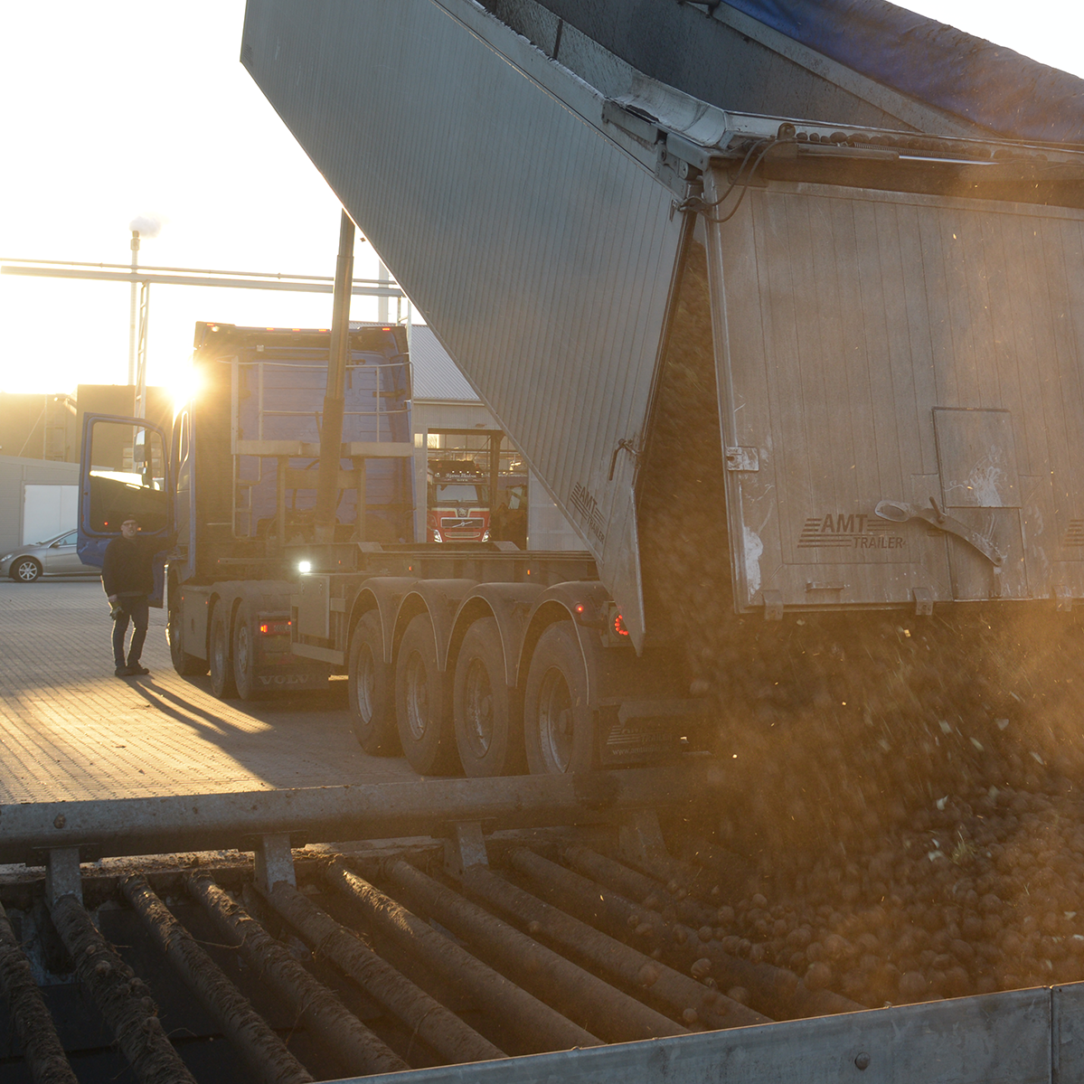 Aflæsning af kartofler