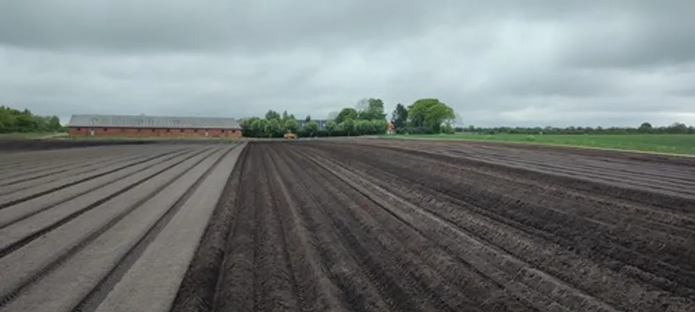 Sortsdemoer til året markvandringer