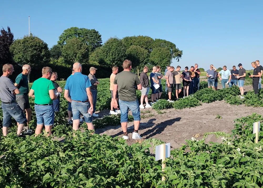 Sortsdemo & markvandring ved Toftlund