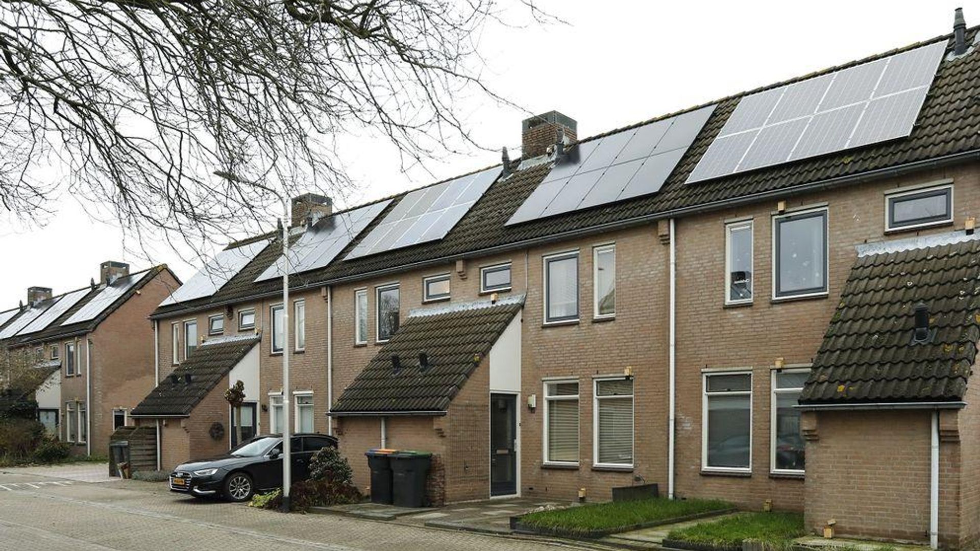 Anemoon in Udenhout