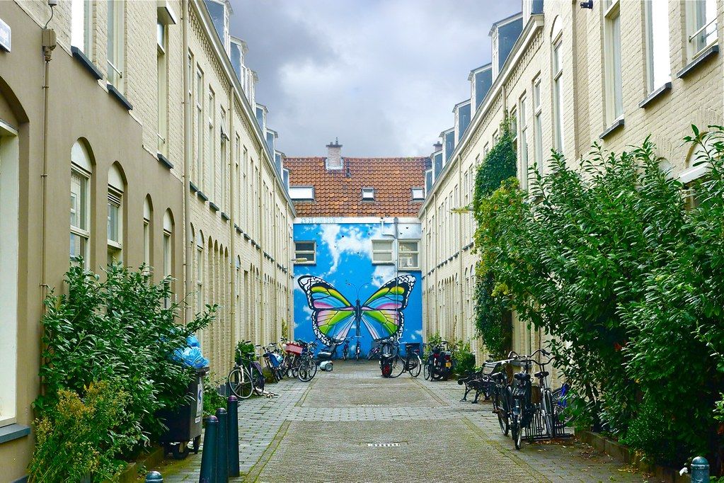 Zoutkeetsingel