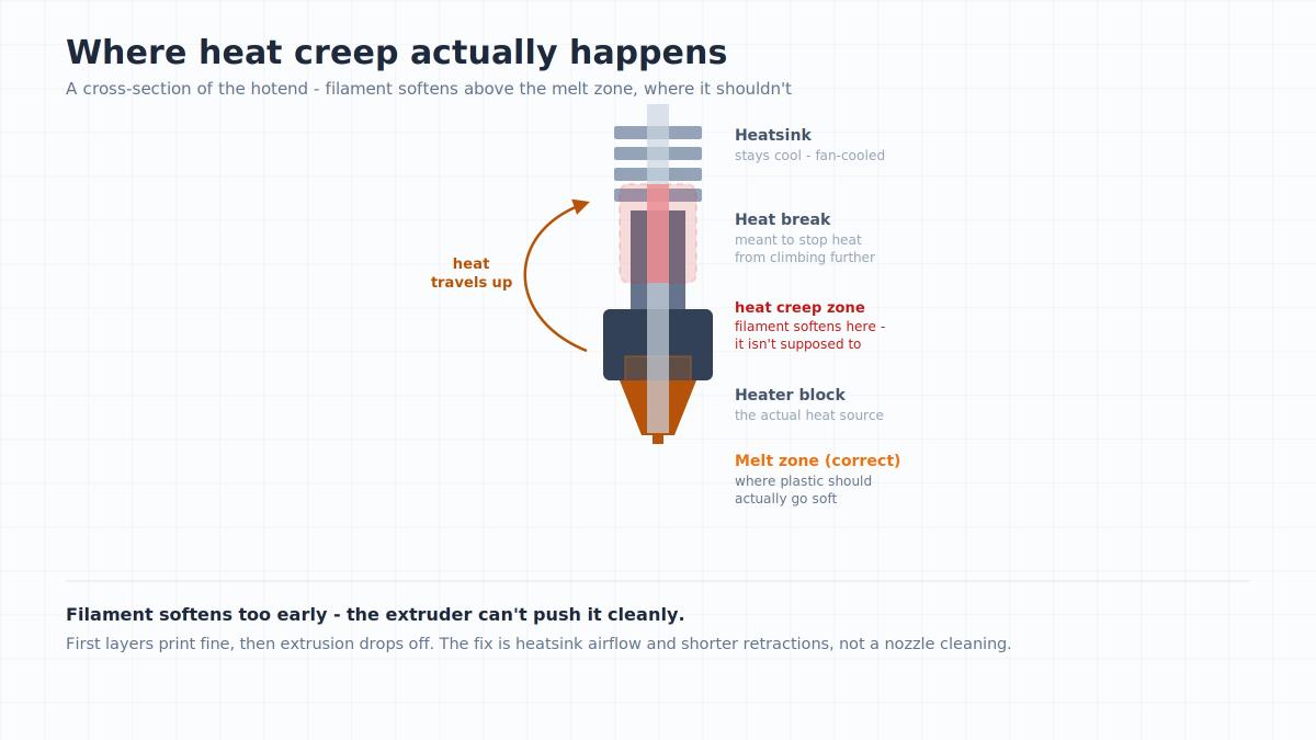 Cross-section diagram of a 3D printer hotend showing where heat creep softens filament above the melt zone