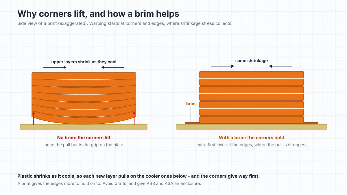 Diagram of a print seen from the side: without a brim, the shrinking upper layers pull the corners up off the plate; with a brim, the extra first layer around the edges holds the corners down