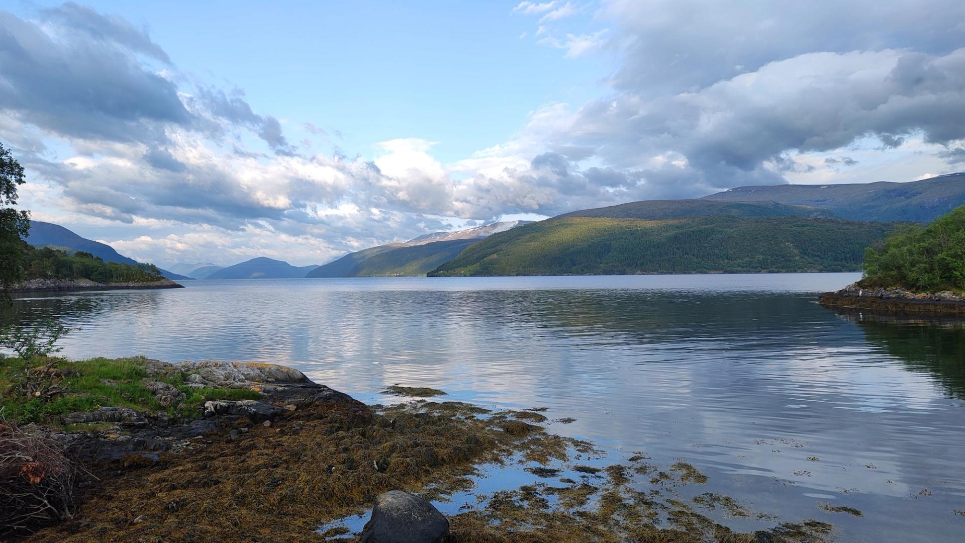 Arrangment og aktivitetar