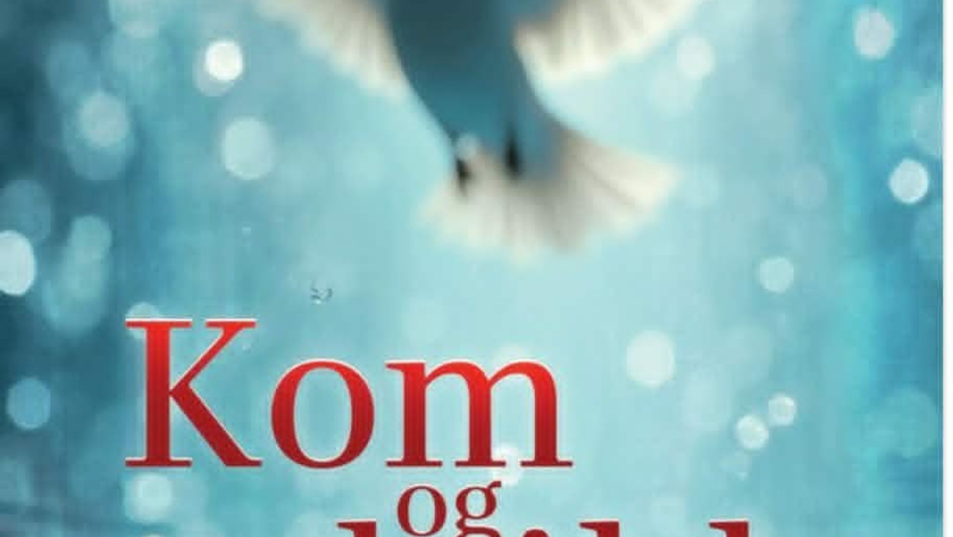 Bibel- og fellesskapshelg med Oddvar Søvik