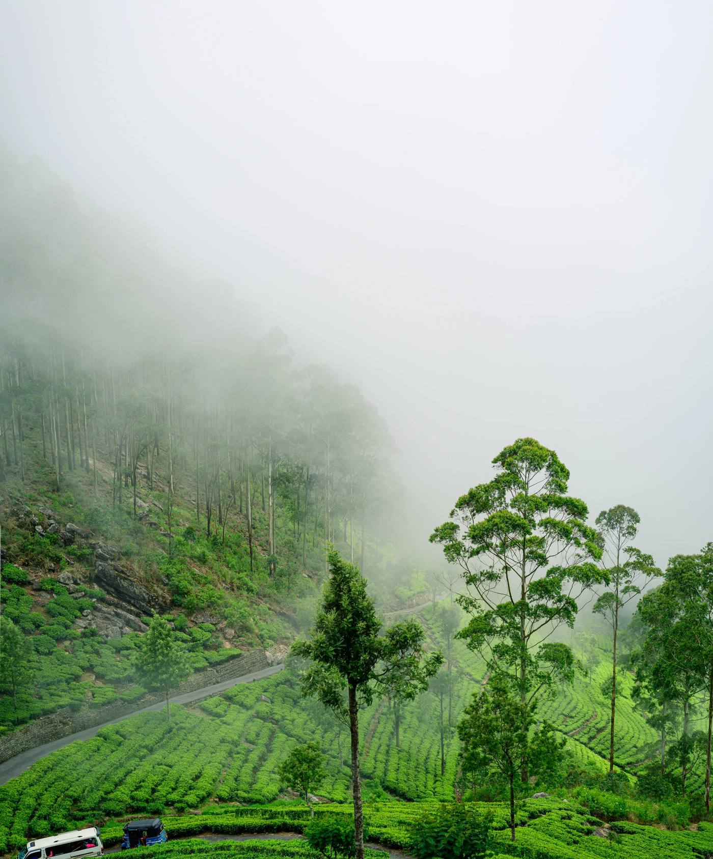 Tea terraces and a winding road below misted hills near Haputale