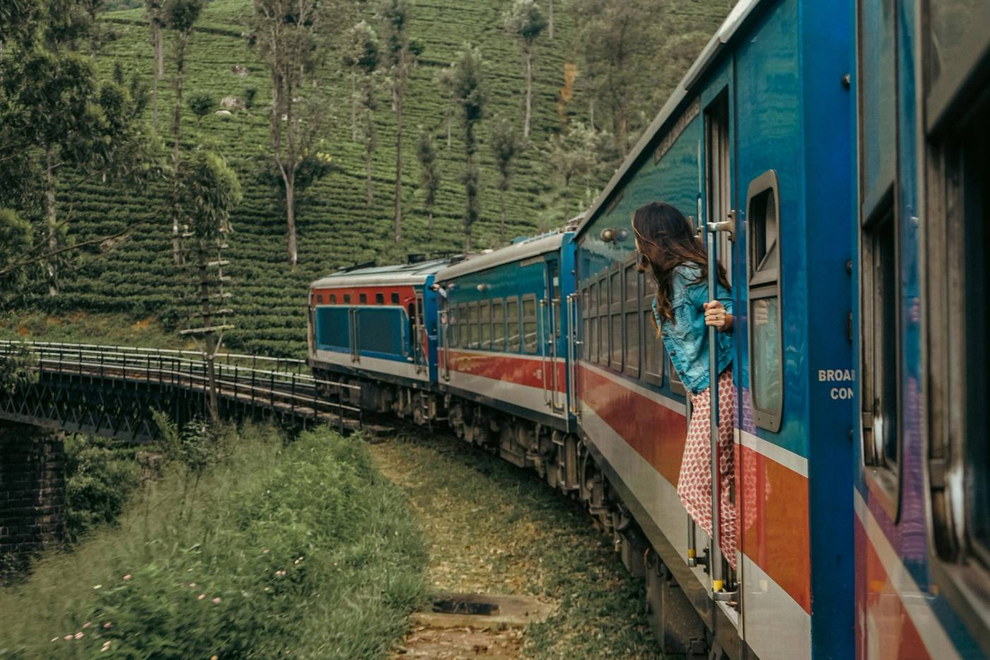 A passenger leaning out of a hill-country train above the tea