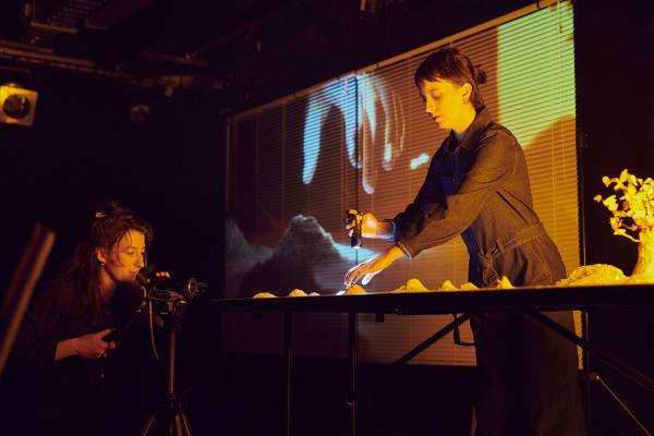 Move Fast and Break Things