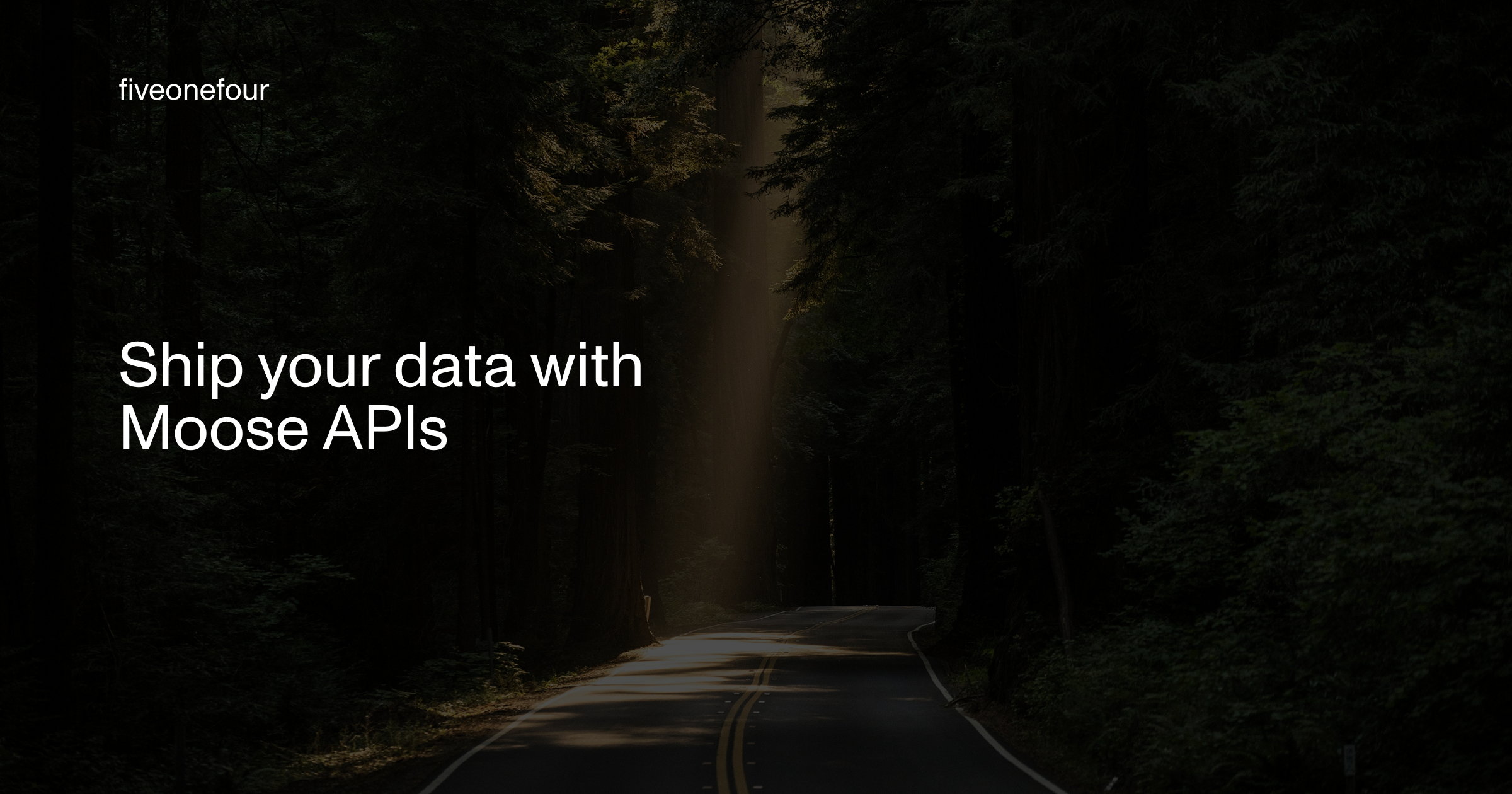 image of a forest with the title on top: Ship your data with Moose APIs