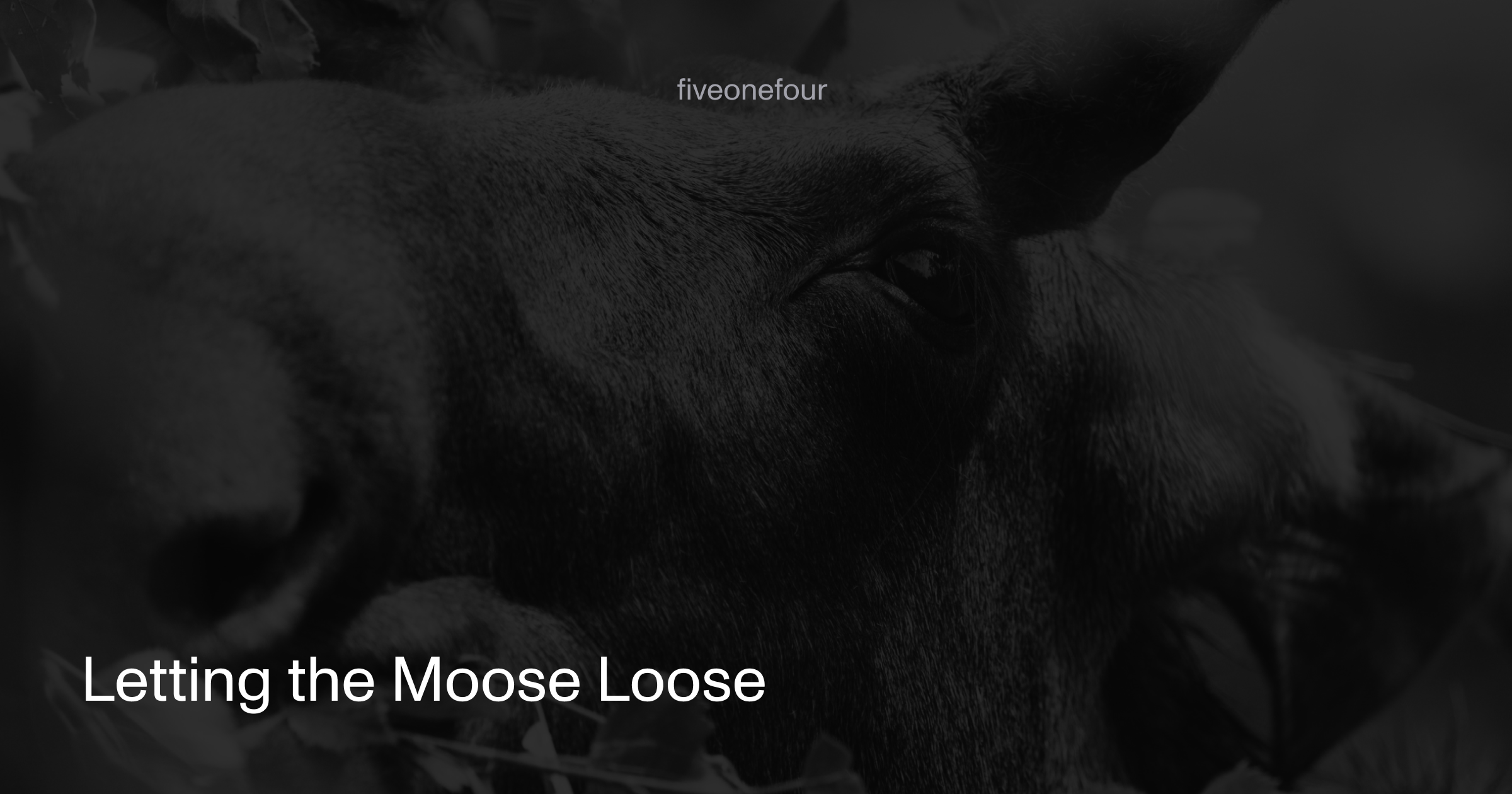 Letting the Moose Loose