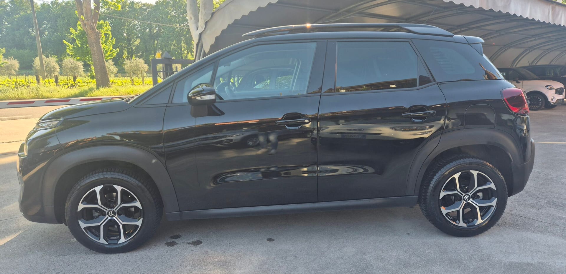 Citroën C3 Aircross BlueHdi 110 S&S Shine — foto 8 di 22