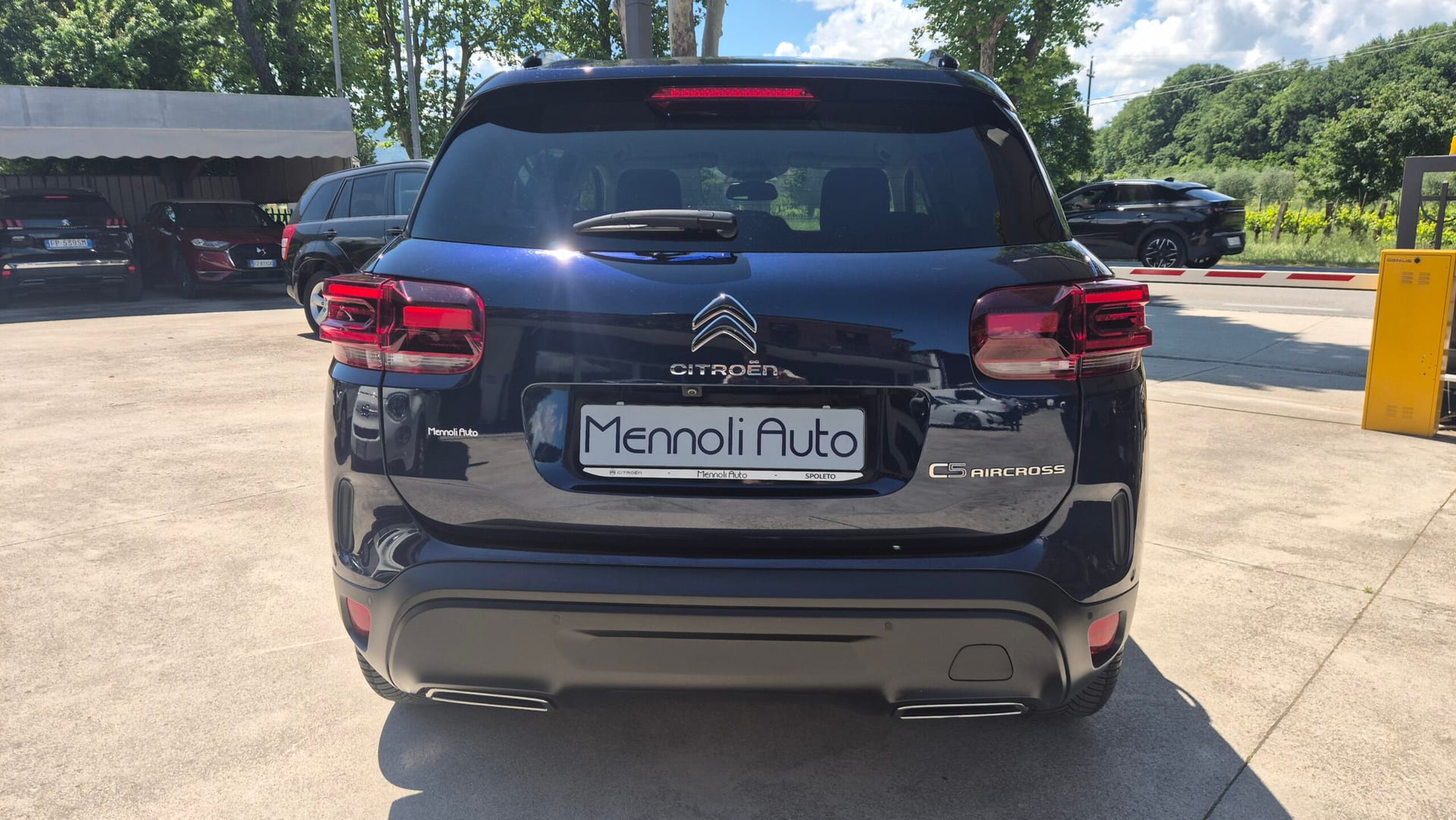 Citroën C5 Aircross BlueHdi 130 S&S EAT8 Shine — foto 5 di 22