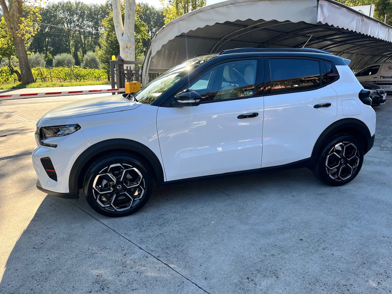 Citroën C3 Puretech 100 MAX — foto 7 di 25