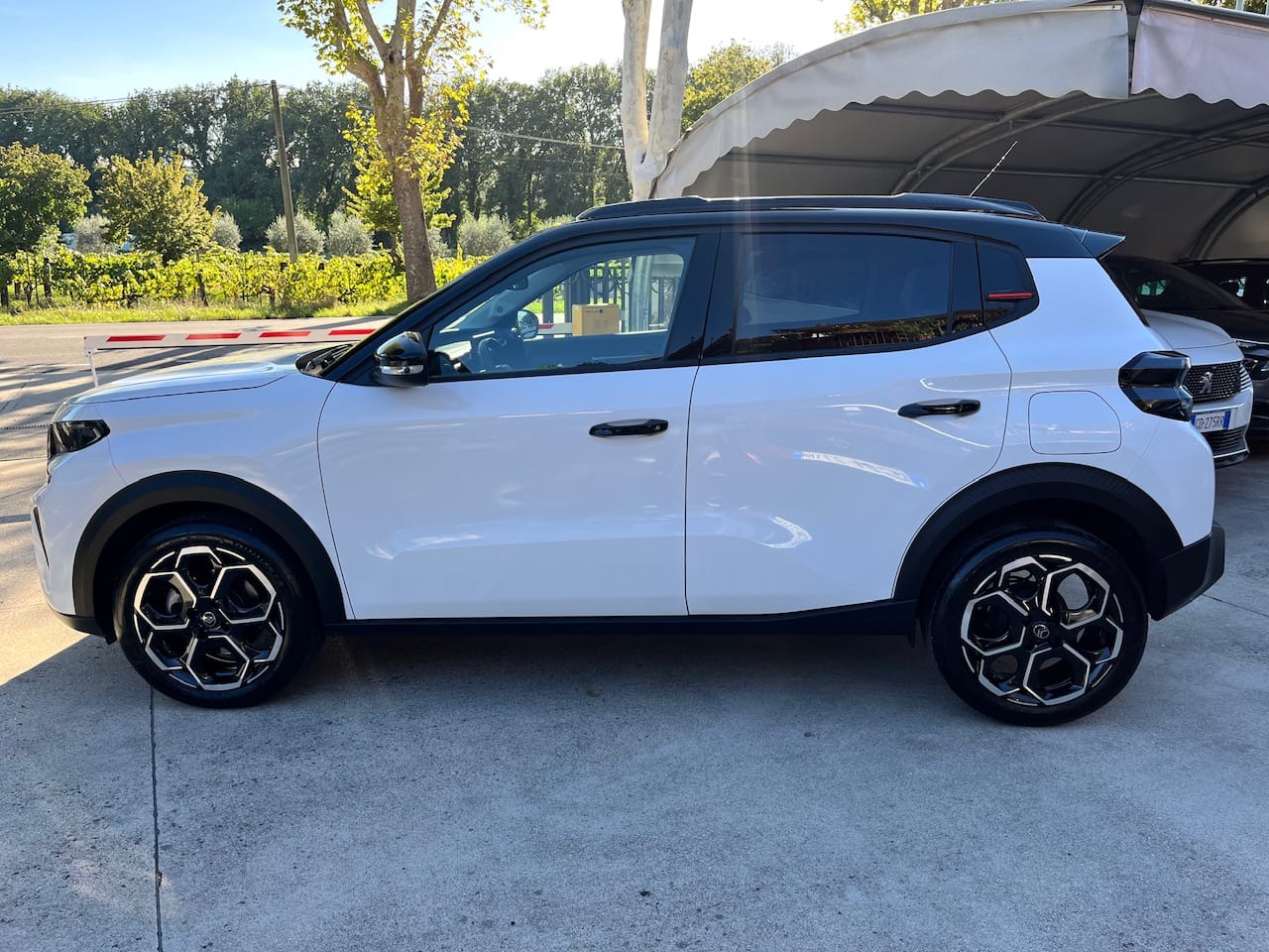 Citroën C3 Puretech 100 MAX — foto 12 di 25