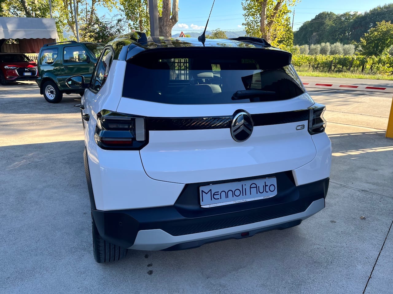 Citroën C3 Puretech 100 MAX — foto 11 di 25