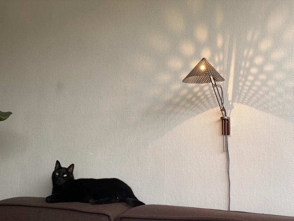 A black cat on a couch with a the +PEACOCK lamp on the wall.