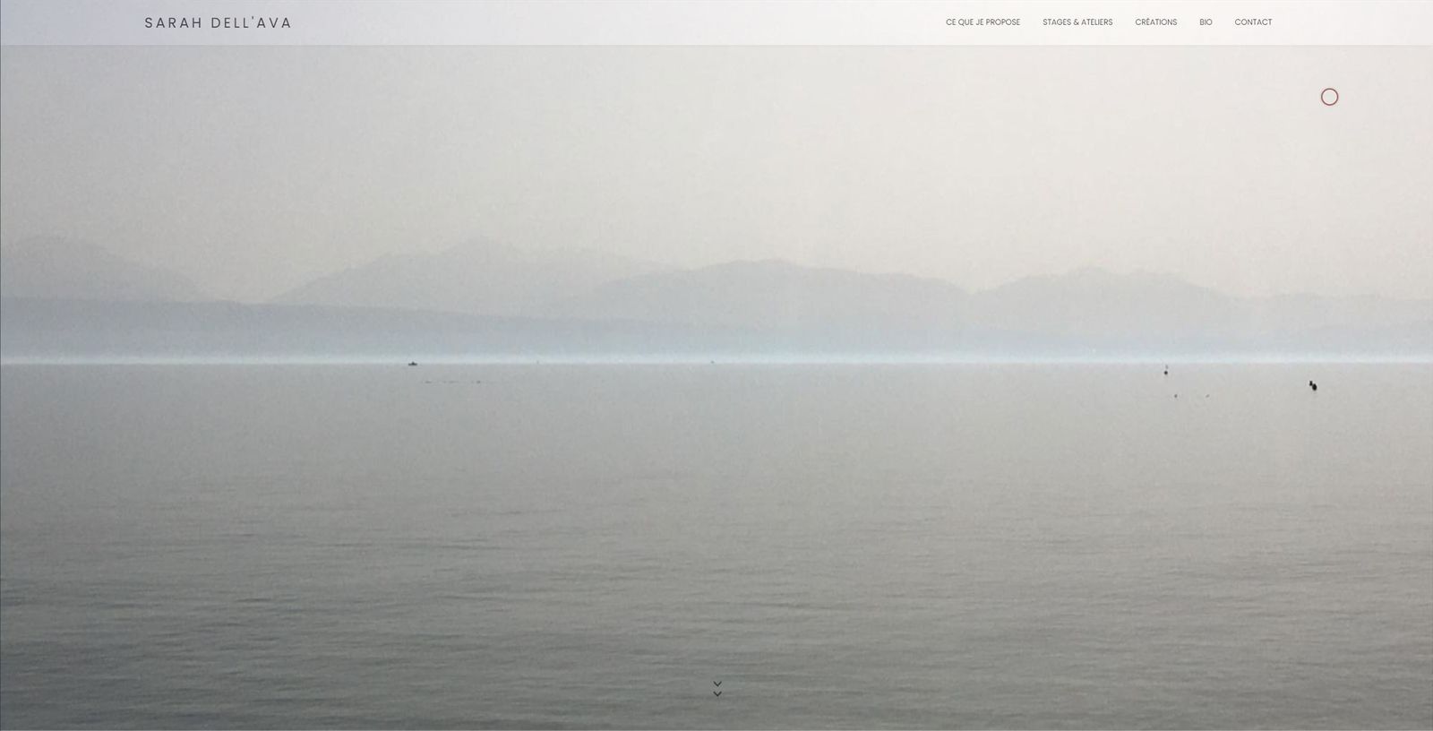 Sarah Dell'Ava / Webdesign Leonard Veuthey