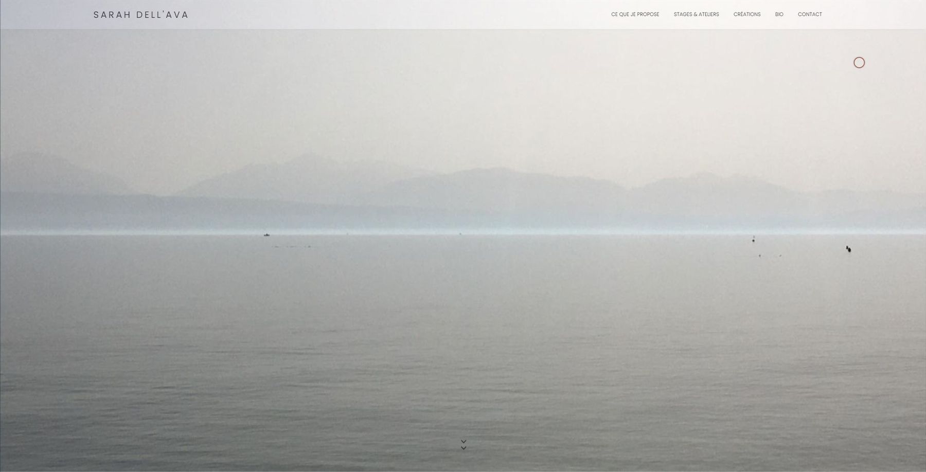 Sarah Dell'Ava / Webdesign Leonard Veuthey