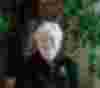 Sigstein Arneborg