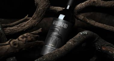 bottle of wine between vine branches