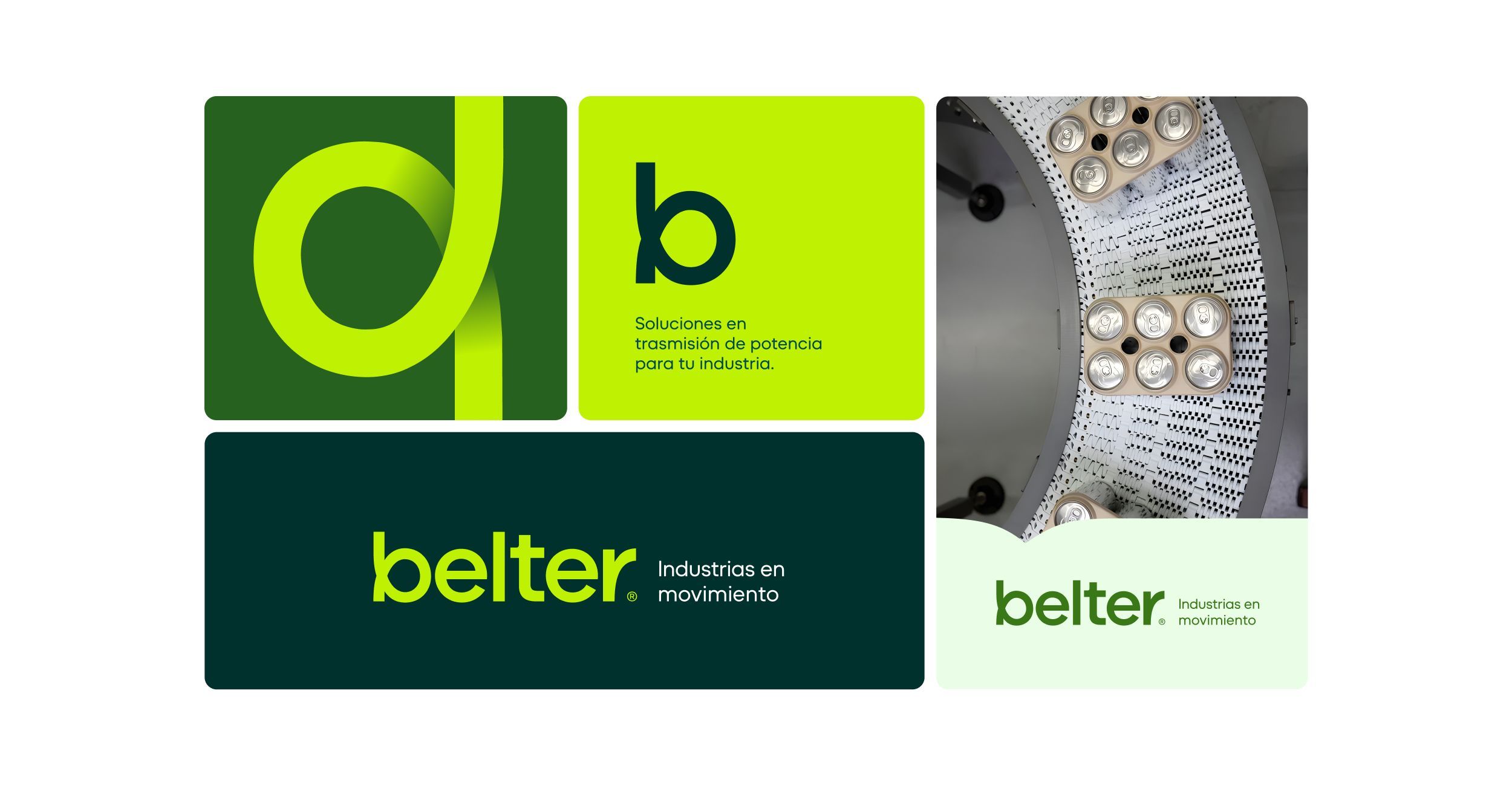 Diseño de identidad y recursos gráficos para Belter Argentina.