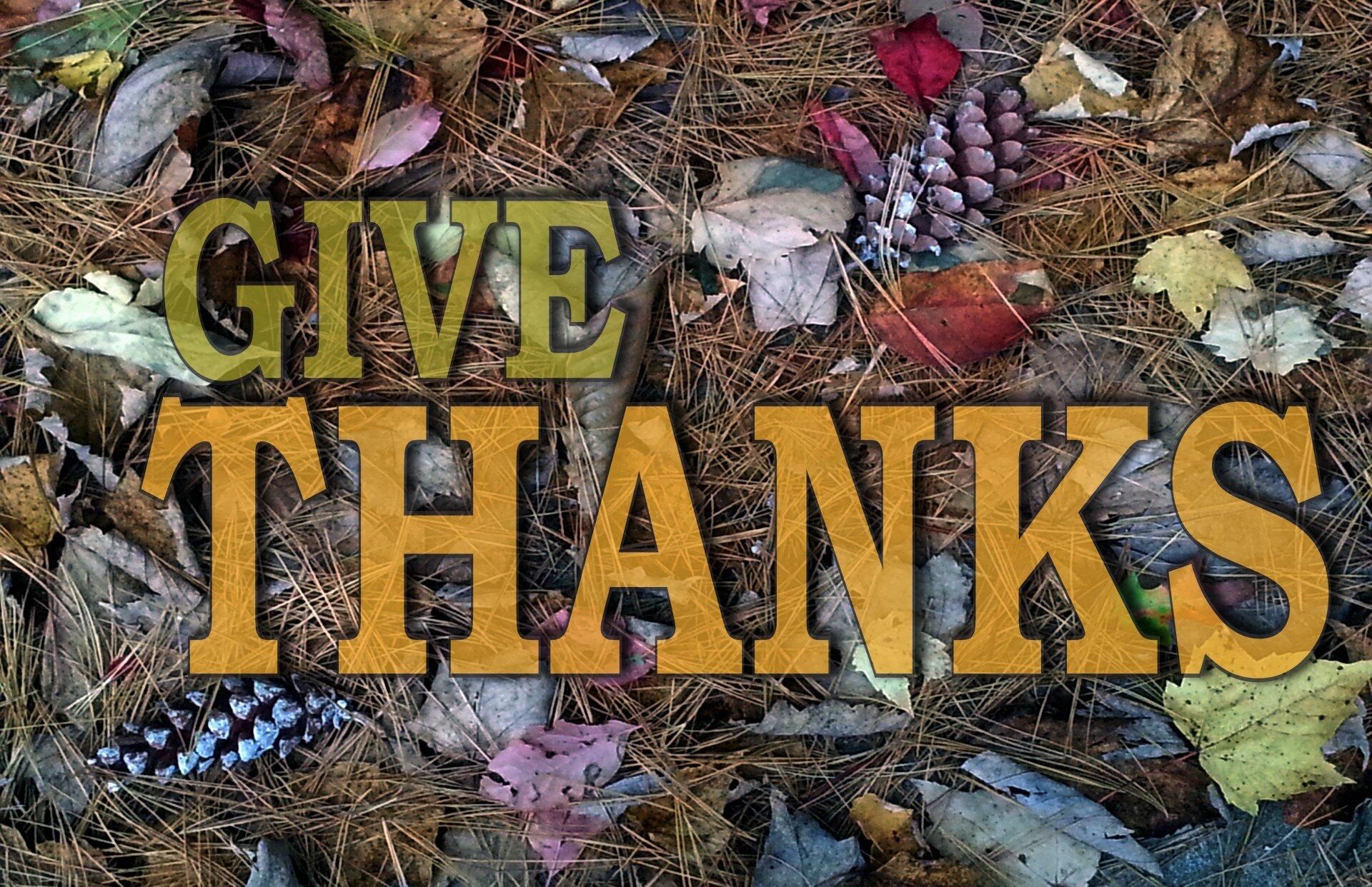 Giving Thanks