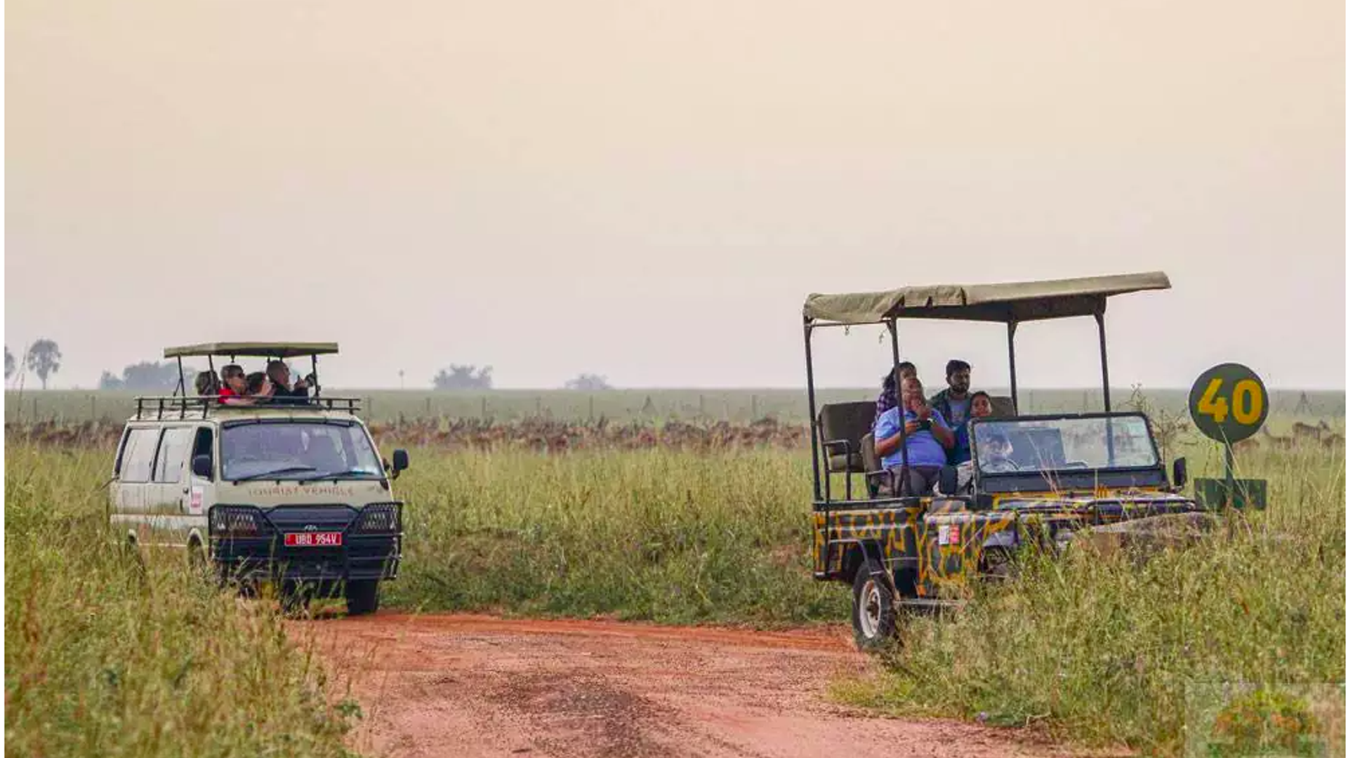 Safari Game Drive
