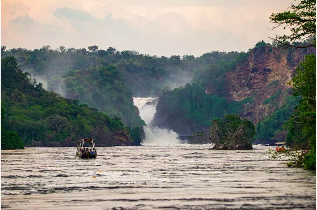 Nile Boat Safari at Dawn