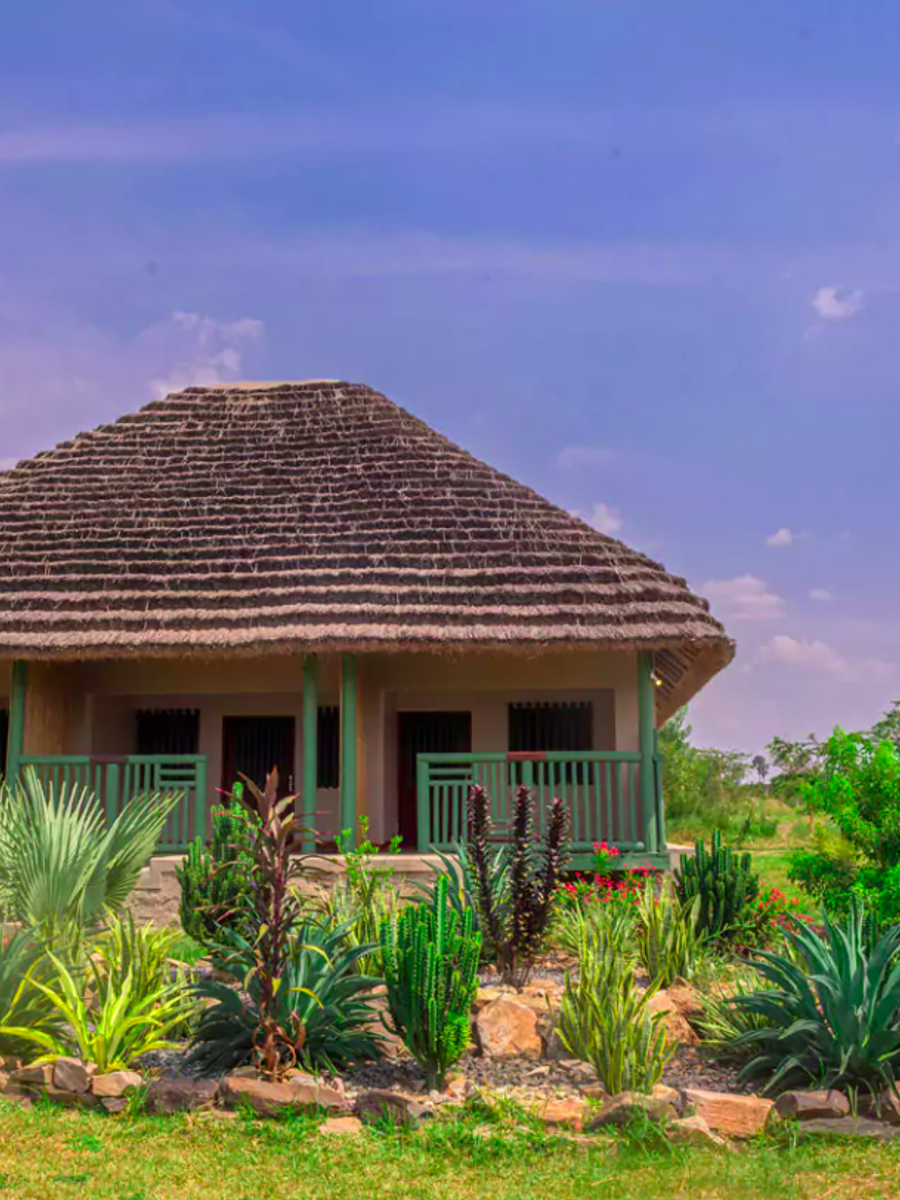 Tilenga Safari Lodge wildlife view