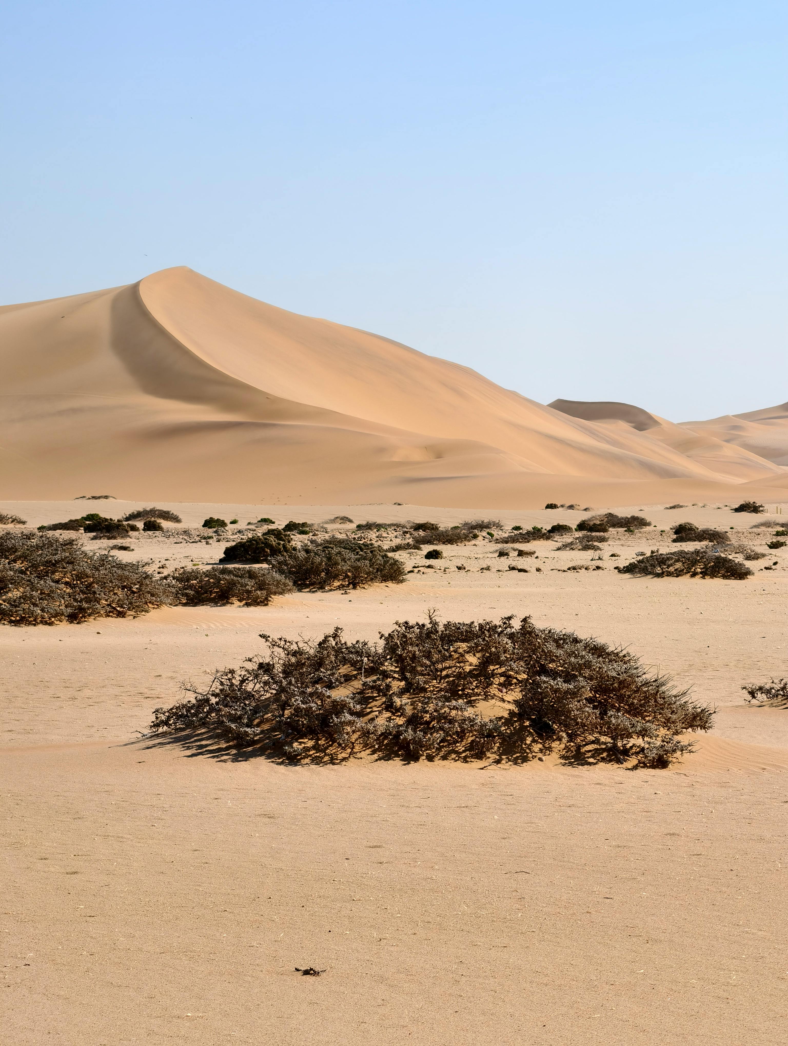 Namibia