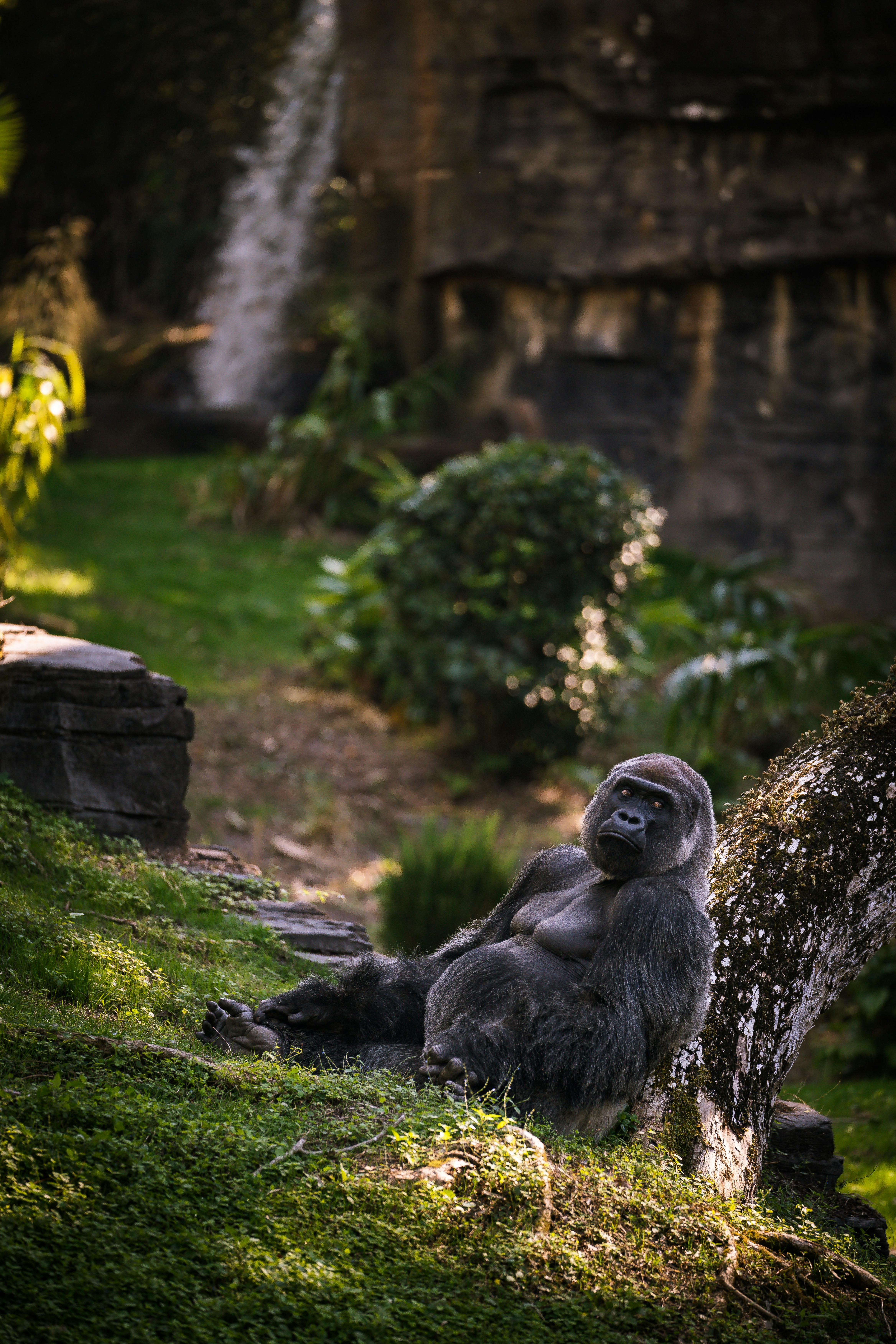 Rwanda