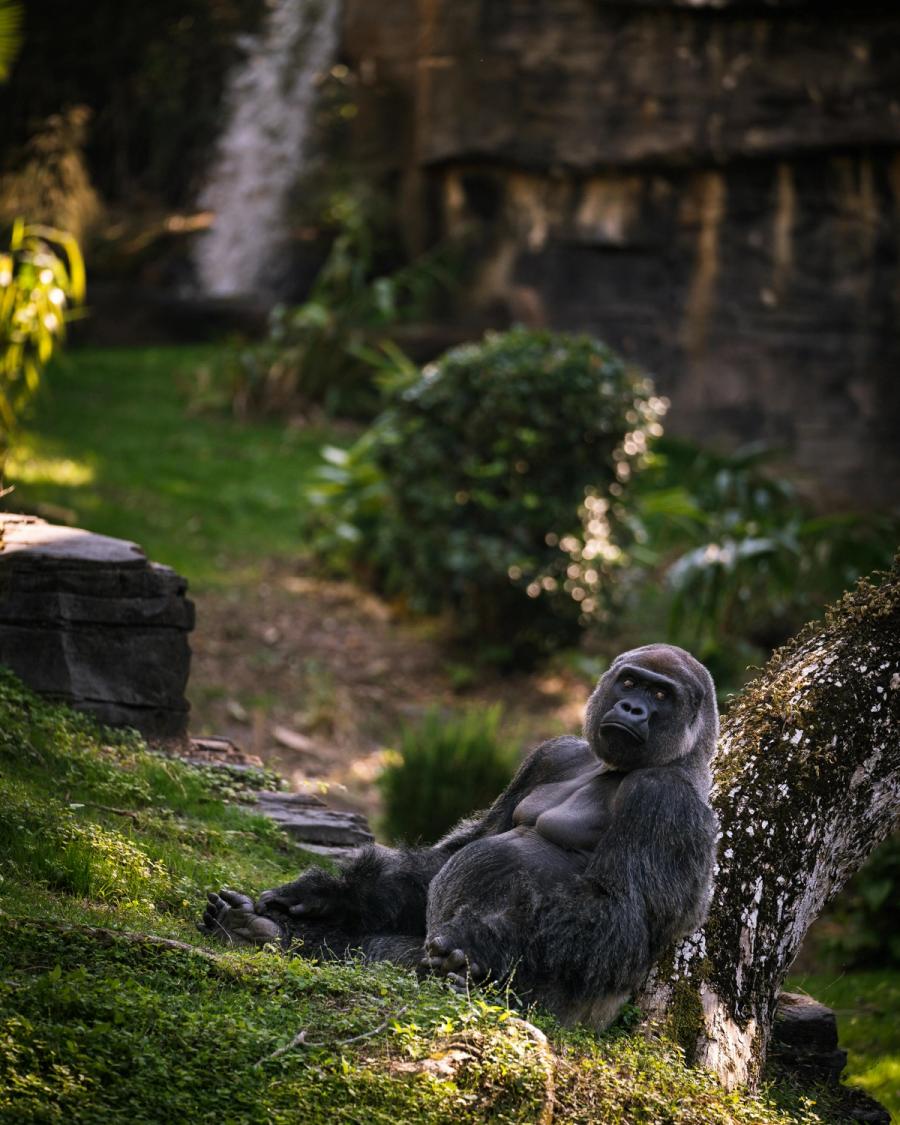 Rwanda