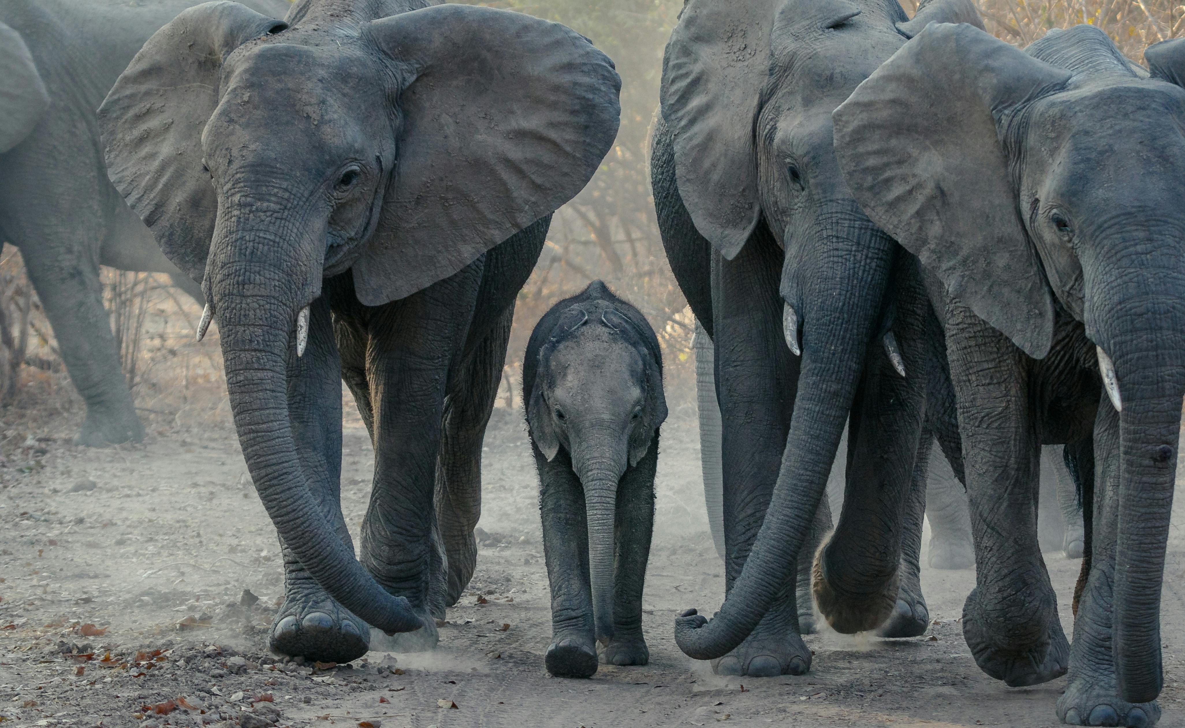 Botswana