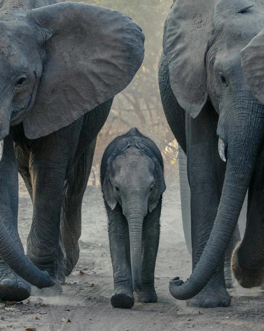 Botswana