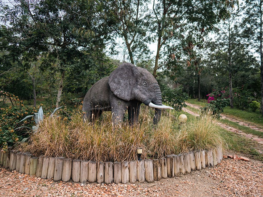 Kikorongo Safari Lodge