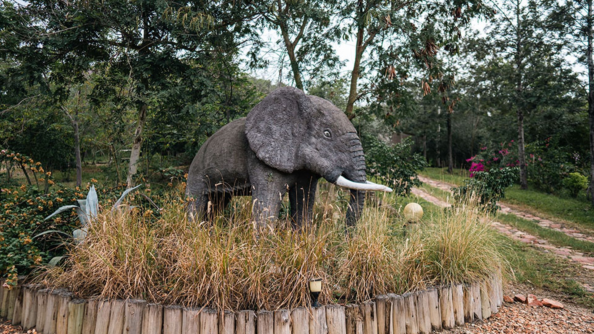 Kikorongo Safari Lodge on the Equator