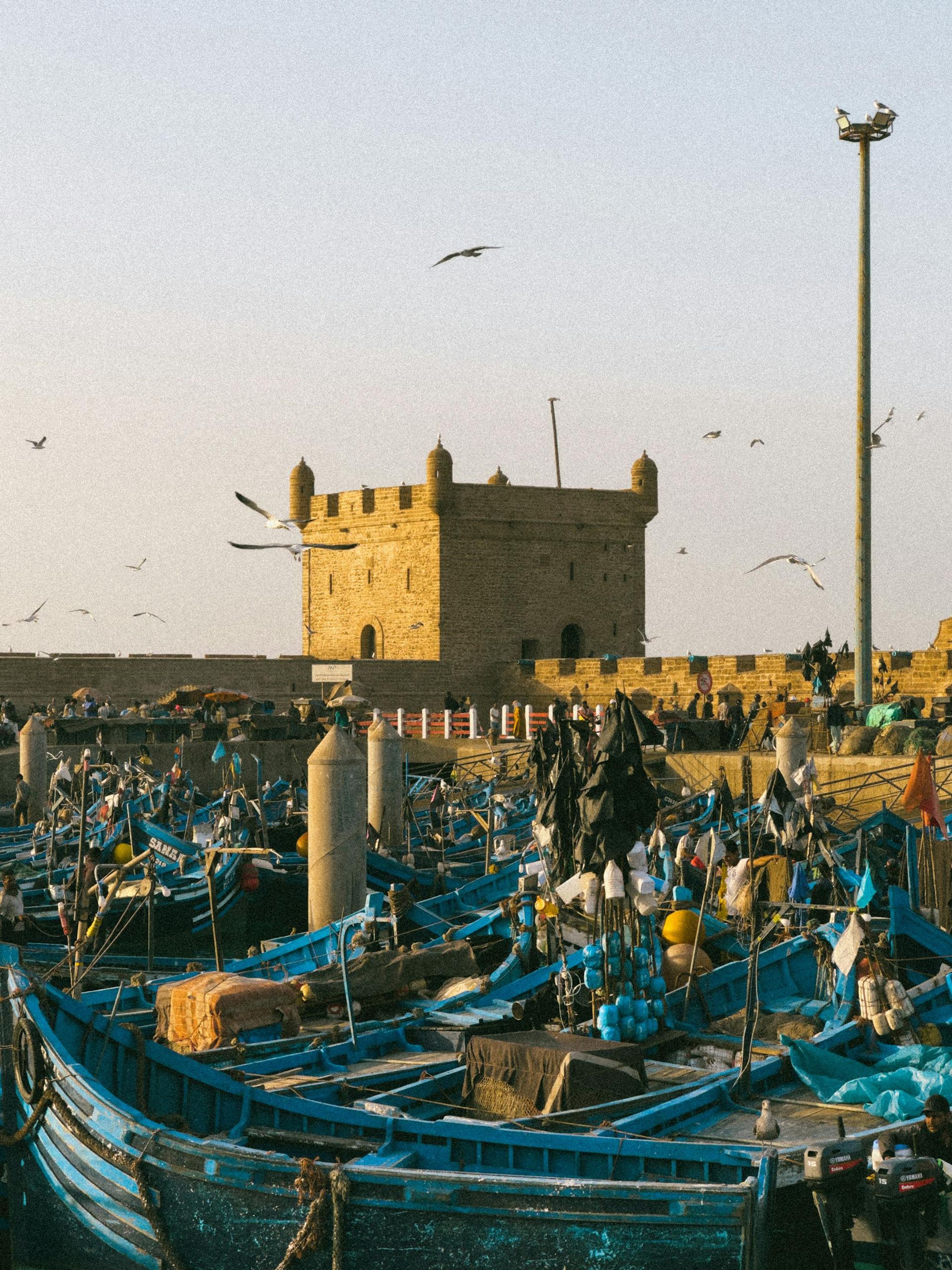 Port historique d'Essaouira avec bateaux bleus et fortifications, Maroc