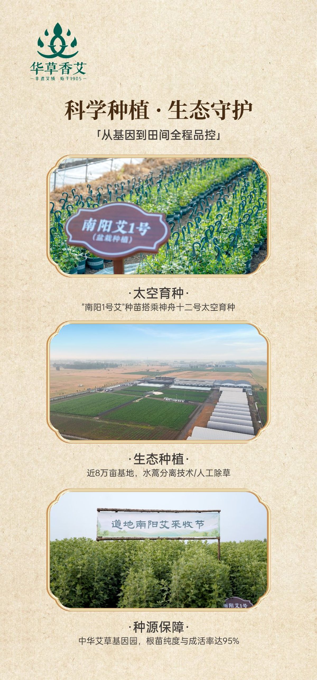 国医仲景艾灸馆加盟南阳国医仲景艾草产业集团